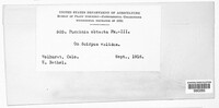 Image Associated With the Occurence
